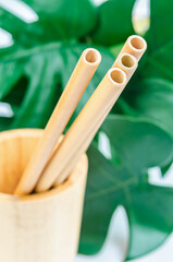 Close up bamboo straws with green leaf.