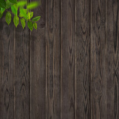 Old brown wooden wall and tree branch