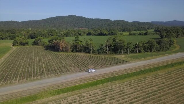 Aerial: Drone tracking a vehicle driving along a dirt track until the drone stops and pans to reveal the landscape, near Babinda in Far North Queensland