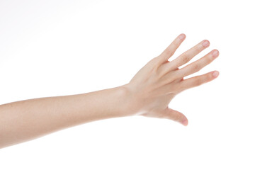 a woman's hand with her back showing her hand.