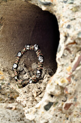 Braided paracord bracelet with metal beads skulls among the stones