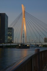 佃公園から見る中央大橋ライトアップ
隅田川夕景　