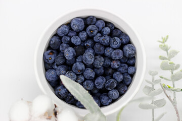 Delicious blueberry in a porcelain bowl on a white background