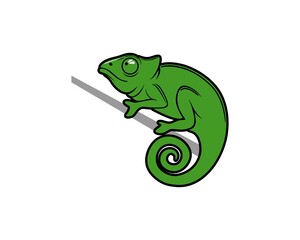 Simple green chameleon