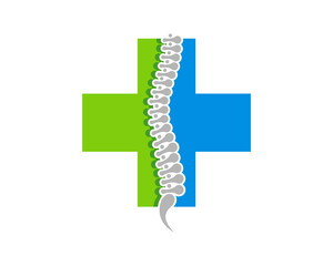 Healthy spine inside the medical symbol