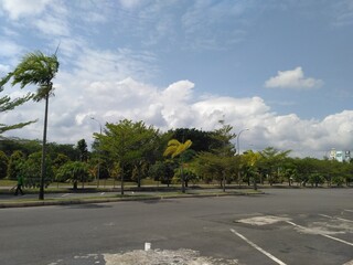 palm trees in the park batam