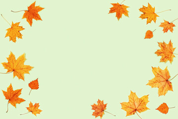 Naklejka na ściany i meble Pattern made of dry autumn leaves on light green background.