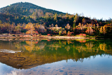 山と紅葉する木々を映す湖面