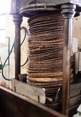 Process of pressing fiber mats with grinded olive paste for olive oil producing in small factory