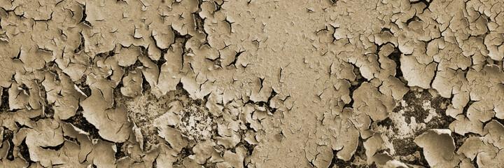 Peeling paint on the wall. Panorama of a concrete wall with old cracked flaking paint. Weathered rough painted surface with patterns of cracks and peeling. Wide panoramic texture for grunge background
