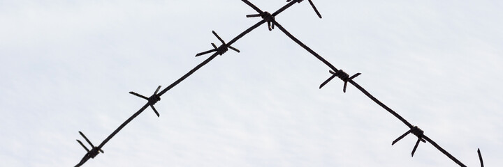Old barbed wire on a background of snow. Barbed wire closeup. Shallow depth of field. Siberia, Russia.