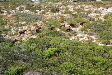 Wandern auf Mallorca