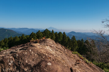 粟ヶ岳から見る富士山