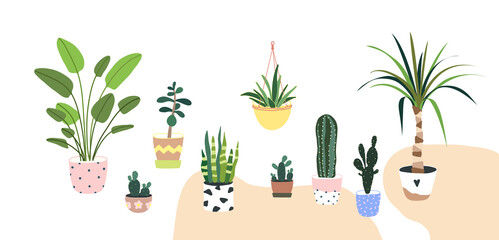 Fototapeta na wymiar Home plants in flowerpot. Houseplants isolated. Set collection. Trendy hugge style, urban jungle decor. Hand drawn. Green, blue, pink, brown, beige, white colors. Print, poster, banner. Logo, label.