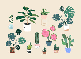 Home plants in flowerpot. Houseplants isolated. Trendy hugge style, urban jungle decor. Hand drawn. Set collection. Green, blue, pink, brown, beige, white colors. Print, poster, banner. Logo, label.