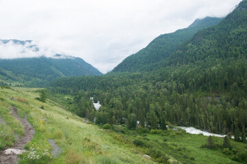 Landscape view of Altai mountains covered with green forests in summer and Kucherla river running down the valley on a misty morning, Russian Federation