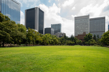 Fototapeta premium 日比谷公園の芝生と高層ビル 