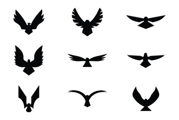 Falcon Solid Vectors Set