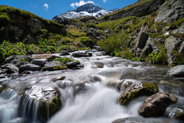 Am gro&szlig;en Sankt Bernhard im Sommer