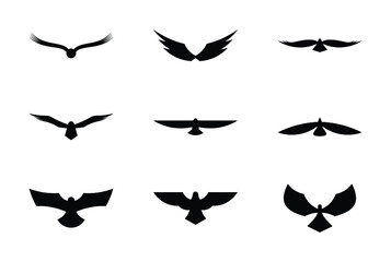 Flying Eagle Solid Icons Pack