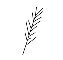 Vector rosemary branch with a black line.Simple food and cooking illustration in doodle style on a white isolated background hand drawn.Design for social networks,web,advertising,menus,recipes.