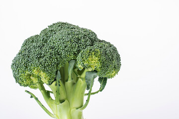 A broccoli on white background