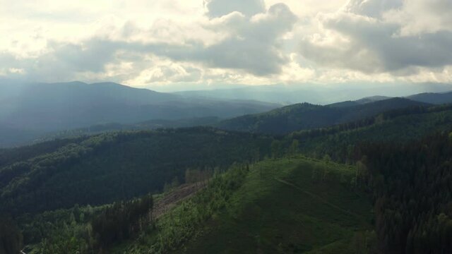 Forest mountains green field hill jungle treen aerial