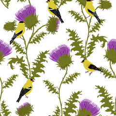 Seamless vector illustration with thistle and birds
