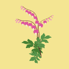 Vector illustration with flowers "Broken Heart" on an isolated background.