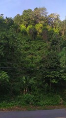 Bangkok to Chiang Mai Class 3 Train view  