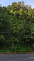 Obraz premium Bangkok to Chiang Mai Class 3 Train view 