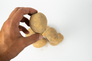 hand holding potatoes