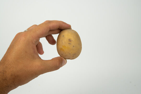 egg in hand