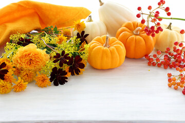 ハロウィンかぼちゃ　秋のお花