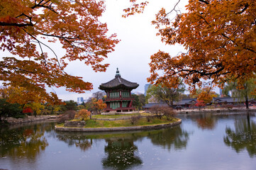 The scenery of Autumn,palace garden,Changdeokgung palace,Unesco World heritage,Seoul Korea.
