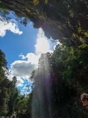 Waterfall on the Gold Coast