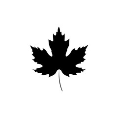 Maple leaf icon, graphic design template, vector illustration