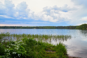 Fototapeta premium View of the lake water from the coast with trees and greenery, the horizon and blue sky with white clouds