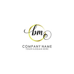 BM Initial handwriting logo template vector
