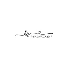 BR Initial handwriting logo template vector
