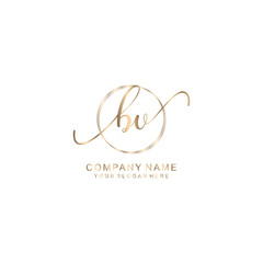 BV Initial handwriting logo template vector
