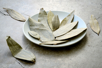 Bay leaves in the dish on a concrete worktop