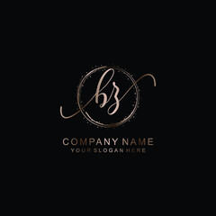 BZ Initial handwriting logo template vector
