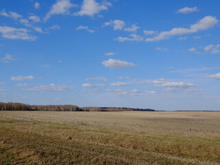 Fototapeta na wymiar A plowed field on a sunny spring day. Blue sky over farmland. Landscape.
