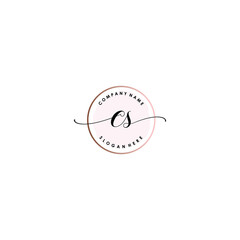 CS Initial handwriting logo template vector