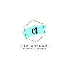 CT Initial handwriting logo template vector