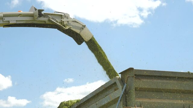 Combine loading silage into trailer truck