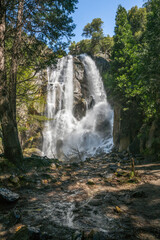 grizzly falls in kings canyon national park, usa