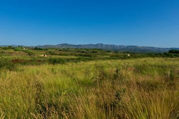 Fototapeta premium Landscape of the august way as it passes through Castellon