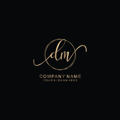 DM Initial handwriting logo template vector
